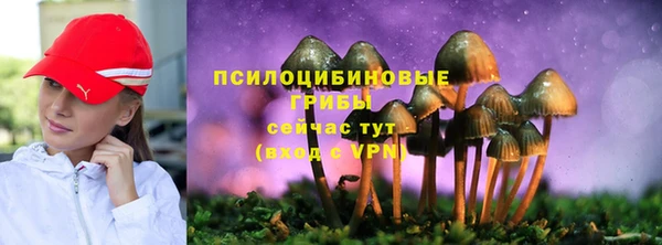 прущие крисы Верхнеуральск